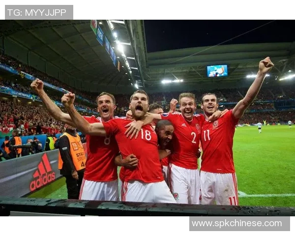 西班牙与列支敦士登激战正酣精彩瞬间回顾与分析