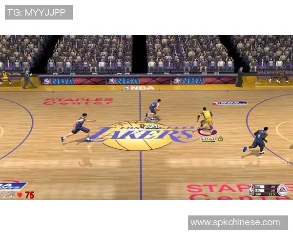 湖人对阵小牛精彩直播视频回放及赛后分析全程观看指南