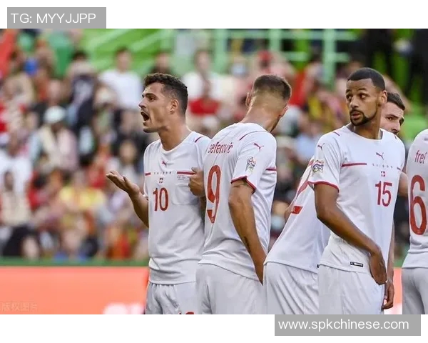 西班牙与瑞士土耳其经济对比分析探讨未来发展潜力与挑战