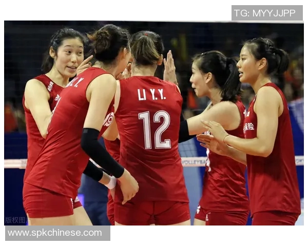 武汉排球队运营揭秘：深度解析排球背后的故事与挑战